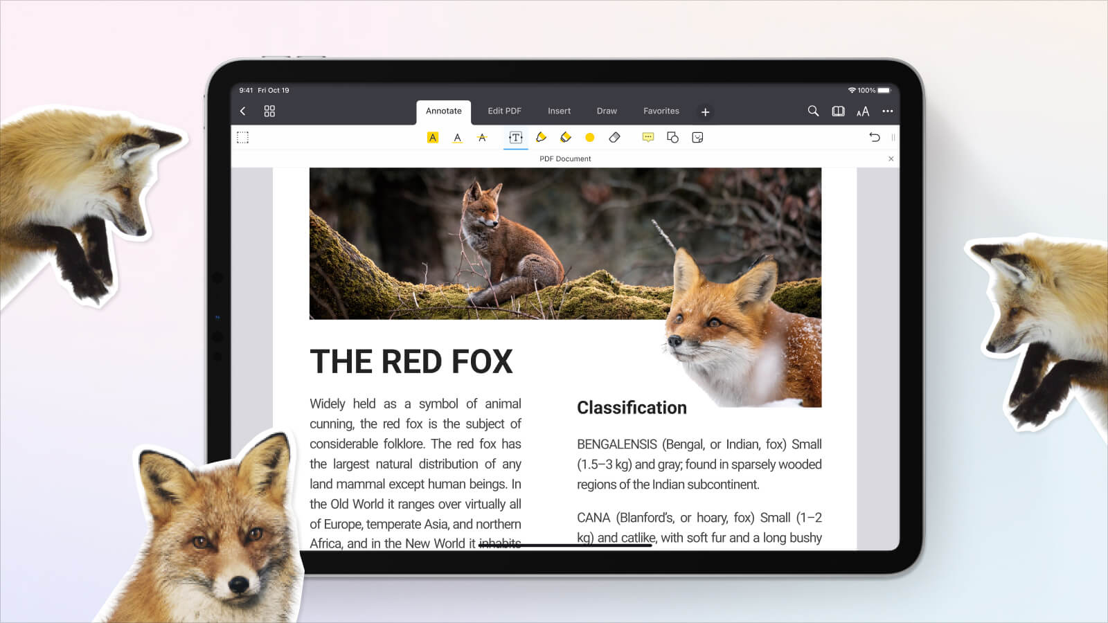 iPad com o PDF Expert aberto, mostrando um PDF sobre raposas-vermelhas.
